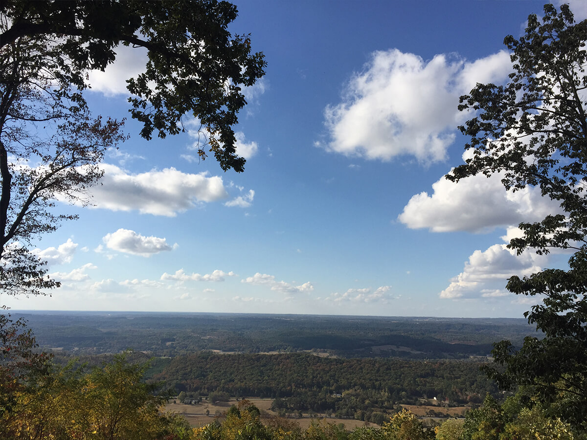 Outdoor view in mentone