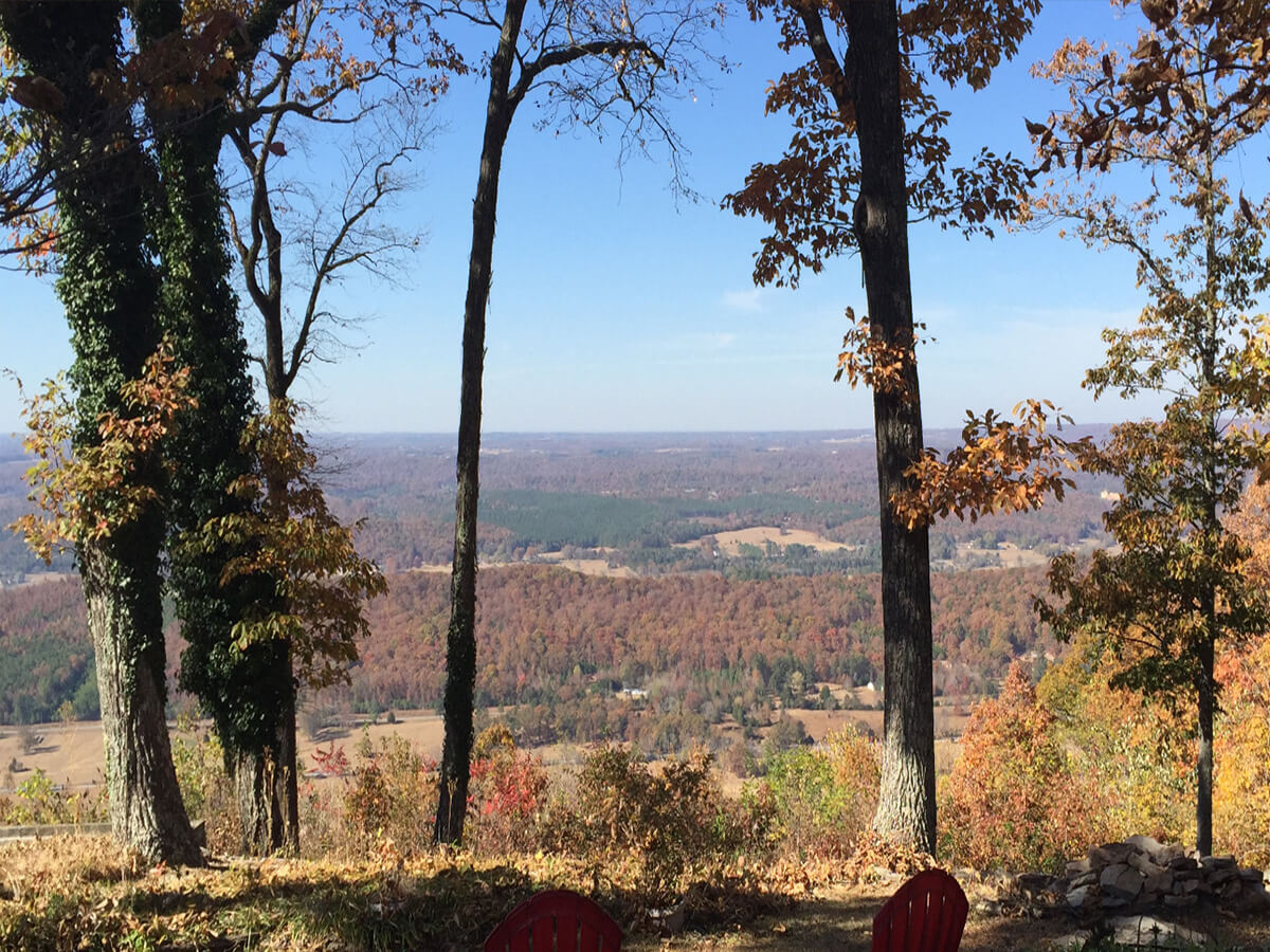 Outdoor view in mentone