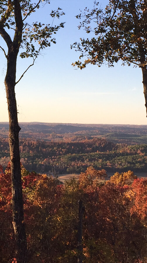 Cottages of Mentone | Cottages and Cabins Rentals in Mentone, Alabama | Best Vacation Rental | Cabins and Cottages with A Mountain View | Wedding Guest Rental, Desoto State Park, Desoto Falls, Lookout Mountain