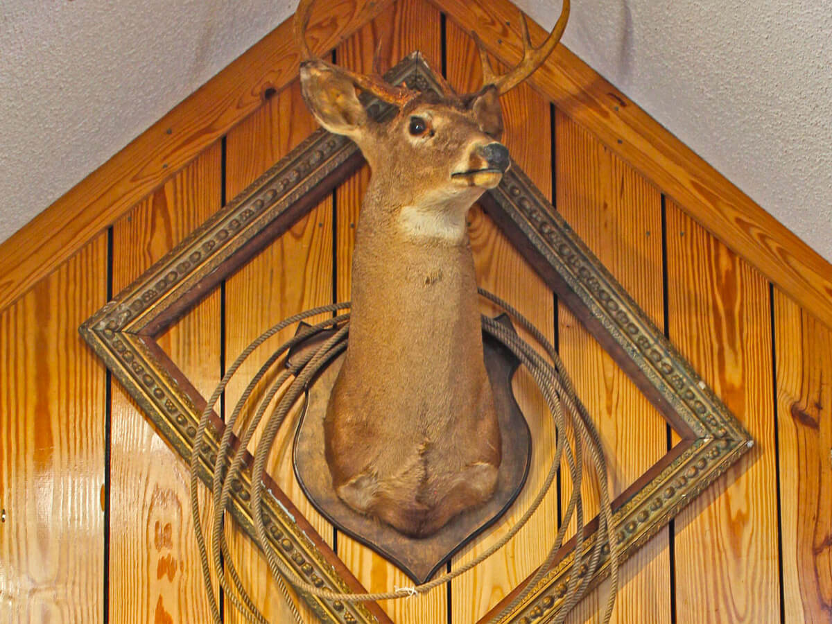 Cottages of Mentone | Cottages and Cabins Rentals in Mentone, Alabama | Best Vacation Rental | Cabins and Cottages with A Mountain View | Wedding Guest Rental, Desoto State Park, Desoto Falls, Lookout Mountain