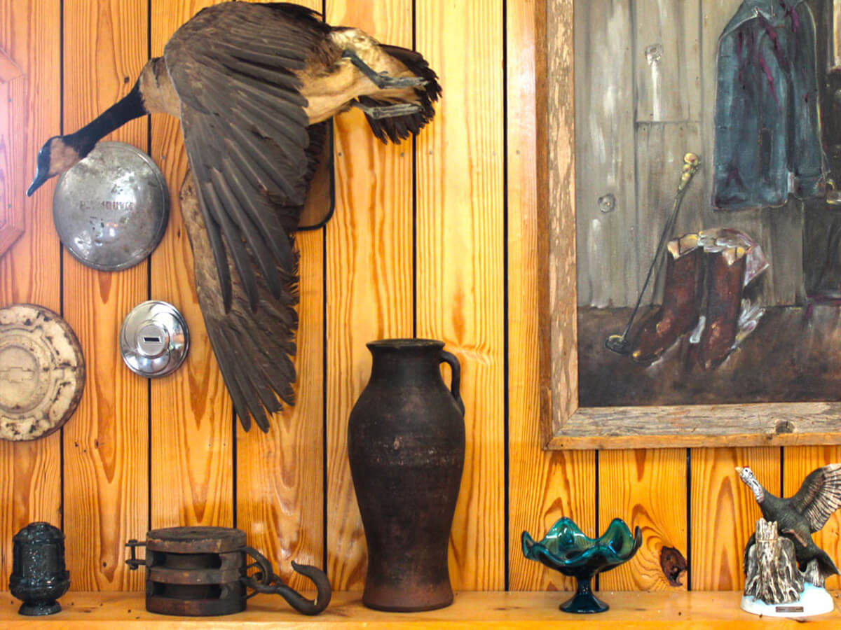 Cottages of Mentone | Cottages and Cabins Rentals in Mentone, Alabama | Best Vacation Rental | Cabins and Cottages with A Mountain View | Wedding Guest Rental, Desoto State Park, Desoto Falls, Lookout Mountain