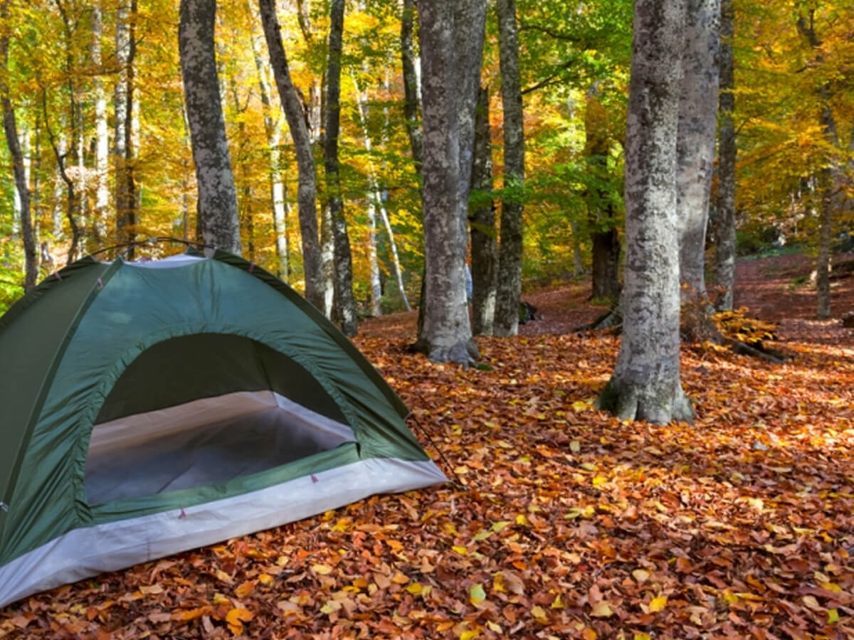 Camping Site in Mentone